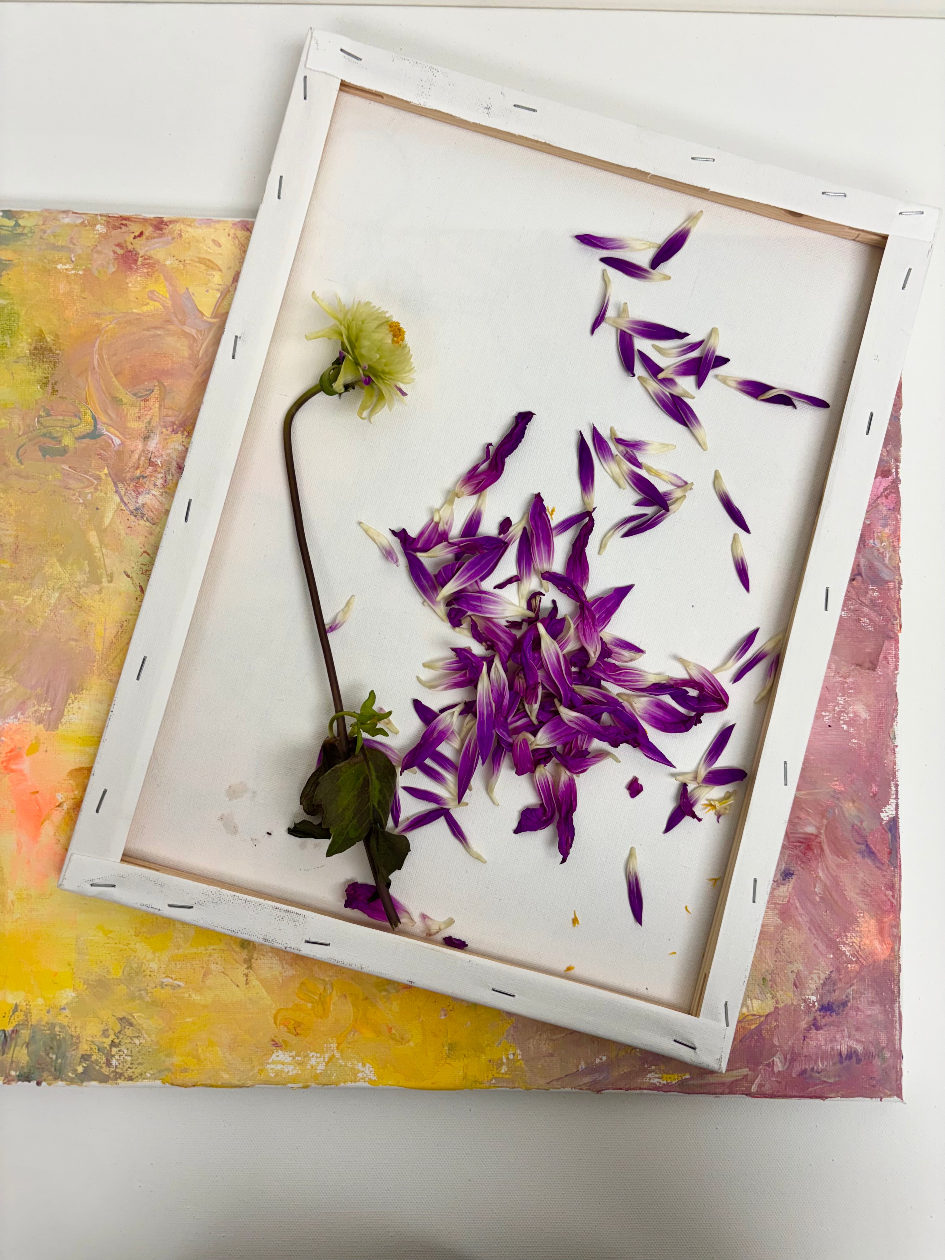 Peaceful Art Studio
