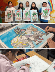 Beginner Art Class